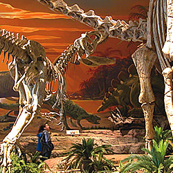 New Mexico Museum of Natural History & Science